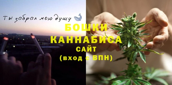 шишки Покров