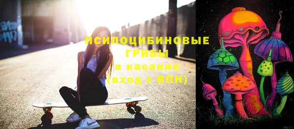 шишки Покров