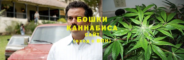 шишки Покров
